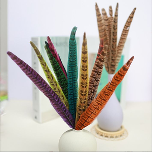 Bán buôn nhuộm 10-35 cm tự nhiên nữ ringneck gà lôi đuôi lông plumas de faisan cho vật làm mũ bay buộc - Product Image 5