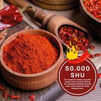 Hete aanbieding: rode chilipeperpoeder, premium kwaliteit, natuurlijke kruid voor vleesverwerking, snackproductie en culinaire toepassing. Te koop.
