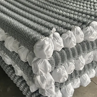 Cerca de Alambre Galvanizado Recubierto de PVC, Fácil de Tejer, para Seguridad en Exteriores, con Puerta y Características de Privacidad, Material de Marco de Madera y Plástico