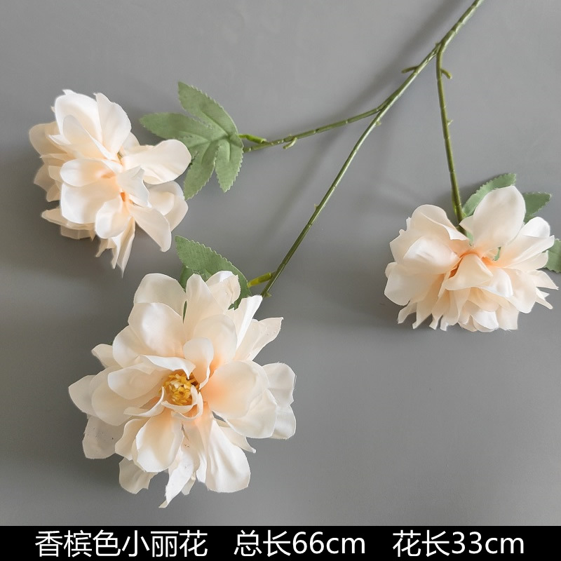 ลิลลี่น้อย 3 ดอก