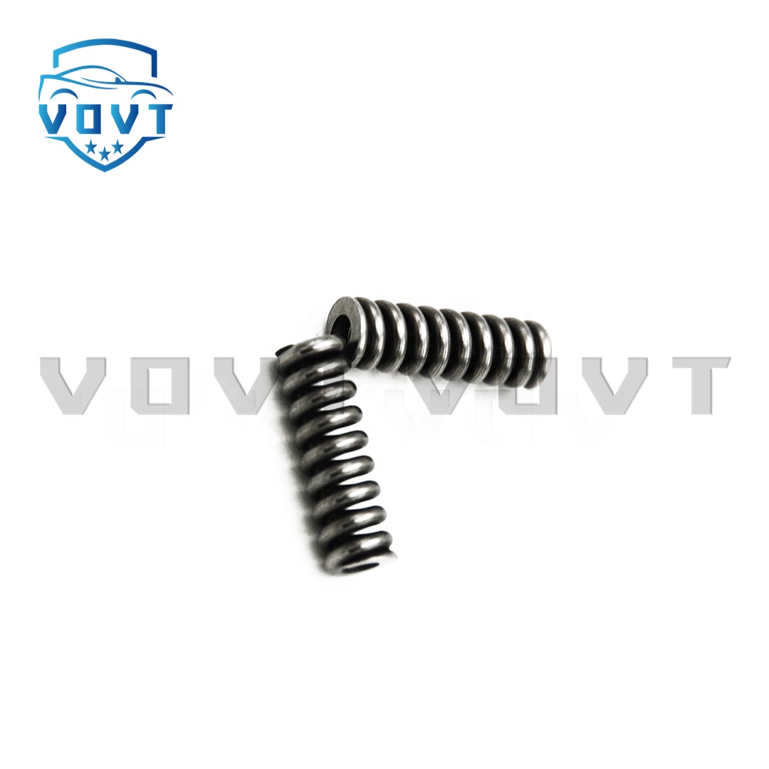 High Efficiency Spring 2 444 617 010 2444617010 Fuel Injector Parts Engine Spare Parts