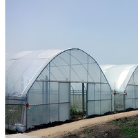 Serre dôme chinoise à faible coût, fabricant de serres agricoles commerciales hivernales, tunnel mono-chapelle en film plastique à vendre