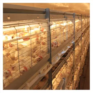 Sıcak satış Broiler tavuk pil kafesi kümes hayvanları tarım ekipmanı