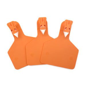 YTET019 Etiquetas <span class=keywords><strong>de</strong></span> Oreja <span class=keywords><strong>de</strong></span> Plástico Vacías <span class=keywords><strong>de</strong></span> Alta Calidad, Multicolores, Duraderas para Identificación Visual <span class=keywords><strong>de</strong></span> Ganado, Uso en Granjas - Product Image 4