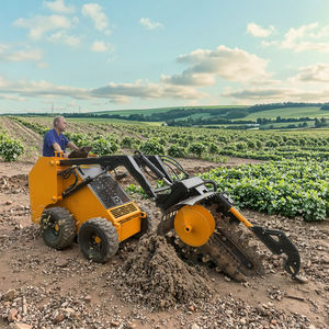 ماكينة خنادق صغيرة من <span class=keywords><strong>WECAN</strong></span> بسعة تحميل في المزرعة الصغيرة ، لوادر مرفق حفار خنادق ، مكون محرك أساسي - Product Image 1