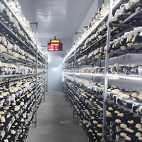 Étagères modulaires en alliage d'aluminium pour la culture de champignons, support de culture de champignons comestibles commercial