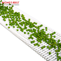 Bande transporteuse en plastique de convoyeur à bande de petit pas de Hongsbelt HS-400B pour le détecteur de métaux