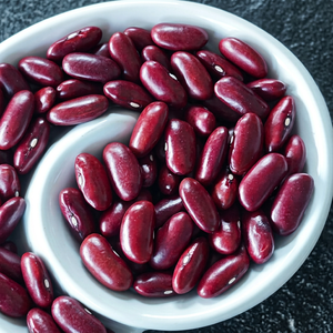 Fresh Harvest Dried Indian Kidney Beans Premium Grade <b>Red</b> Rajma Beans 24 Months Shelf Life for International Export Bulk Supply - Product Image 1
