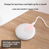 Lampe de chevet veilleuse rechargeable longue durée à intensité variable pour enfants, économe en énergie, dropshipping CE RoHS OEM, flexible et réglable