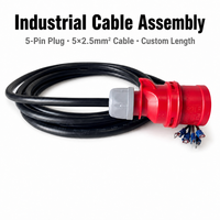 LNLEE PCE Cable Industrial de 3m con Enchufe IEC 60309 de 5 Pines, 5x2.5mm² 300/500V H07RN-F con Terminales de Anillo, Longitud de Cable Personalizada