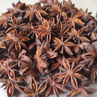 Anis étoilé entier d'automne, origine Guangxi, graines séchées épicées, prix usine, produit naturel très demandé