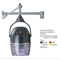 Sèche-cheveux et steamer numérique portable entièrement automatique FYD avec traitement capillaire pour salon et usage domestique