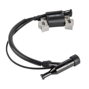 Guía Completa para Piezas de Motor de Gasolina: Bobina de Encendido de Alto Voltaje, Tapón de Bujía, Mini Cultivadora, Bomba de Agua - para Generadores - Product Image 1