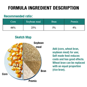 Additifs alimentaires pour porcs, sources de protéines véritables, supplément alimentaire pour lapins, porcs, vaches laitières, améliore l'immunité du corps, qualité alimentaire, 25 kg/sac - Product Image 6