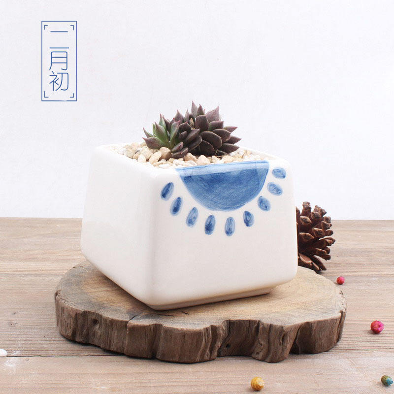 Couleur blanche comme le montre la photo-4