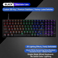 Clavier mécanique à touches entièrement remplaçables, disposition anglaise, clavier de jeu personnalisé OEM, 100 touches, clavier filaire pour PC portable