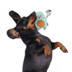 2025 küçük peluş köpek gıcırtılı Chewy oyuncaklar yüksek kaliteli avokado sevimli peluş hiçbir doldurma halat köpek oyuncak - Product Image 5
