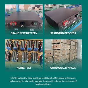 <span class=keywords><strong>3</strong></span>-10年保証25.6V 48V 51.2V 100Ah並列電源コンテナラックLiFePO4エネルギー貯蔵バッテリーLFP - Product Image 5