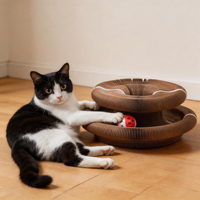 Jouet interactif pour chat Magic Organ, griffoir en carton avec balles à clochettes, emballage en carton pour chats d'intérieur/extérieur
