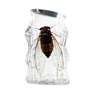 Especímen de Cigalla Encapsulado en Cristal, Escultura de Hielo Creativa, Imán para Refrigerador, Artículo Coleccionable y Decorativo - Product Image 6
