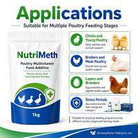Aditivo para Alimento de Aves de Corral, Suplemento Multivitamínico de Aminoácidos para Pollo, Pato y Ganso