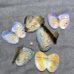 Perla nueva envasada al vacío individualmente, perlas de ostra <span class=keywords><strong>grandes</strong></span> cultivadas, Perla de ostra fresca, mejillón, suministro de granja, Perola Natural al por mayor - Product Image 2