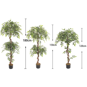 ต้นเบนจามินเทียมต้นไม้ <span class=keywords><strong>Ficus</strong></span> เทียมสำหรับตกแต่งบ้านต้นไม้ไทรเทียม - Product Image 6