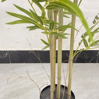 Plantes artificielles en bambou décoratives en plastique pour l'intérieur et l'extérieur, verdure écologique pour les occasions festives, Thanksgiving