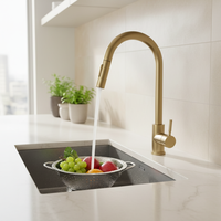 Robinet de cuisine moderne en acier inoxydable 304 à poignée unique avec douchette extractible