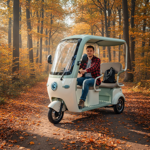 Triciclo Eléctrico <span class=keywords><strong>de</strong></span> 3 Plazas HLD con Carrocería Abierta, Diseño Retro en Colores Macaron para Adultos y Personas Mayores, Scooter <span class=keywords><strong>de</strong></span> 3 Ruedas - Product Image 2