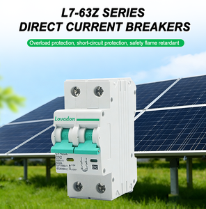 LOVADON <span class=keywords><strong>L7</strong></span> 2P мини-выключатель 63 Amp солнечный PV DC 1000V Электрический MCB с LI Protection - Product Image 2