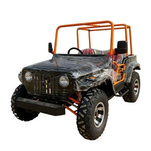 Robust Willys Style Transport Buggy, 250cc 4-Stroke Off-Road Vehicle for Cargo Delivery in Nature Reserves - Product Image 1