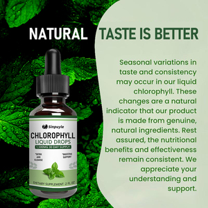 Suplementos Líquidos de Clorofila para la Salud, Disponibles en Stock Local en EE. UU., Gotas de Clorofila Líquida Splina para Limpiar el Cuerpo - Product Image 5