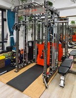2025 intérieur Lat tirer vers le bas/bas rangée Machine nouvel entraîneur de gymnastique pour l'entraînement en force usage domestique musculation et exercice de Fitness