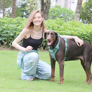 Harnais de luxe en velours côtelé anti-traction pour chien, collier et laisse personnalisés de créateur, sac à dos mignon pour promenades, laisse et harnais pour chien - Product Image 2