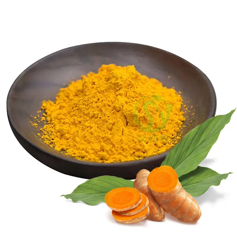 Échantillon gratuit bon prix extrait de racine de curcuma biologique en poudre soluble dans l'eau curcumine 10% 95% 98% 99% supplément