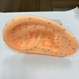 Modèle d'acupuncture auriculaire agrandi de 40 cm avec instructions en anglais – Modèle d'application auriculaire - Product Image 5