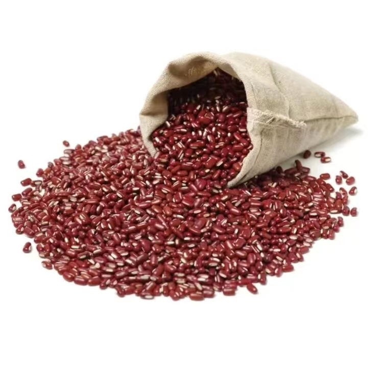 China high-quality fresh organic dried adzuki beans in season without additives.