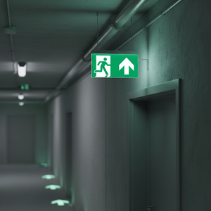 Segno di uscita di emergenza sinistra-segno freccia sinistra-150 in PVC luminescente * 300 mm - Product Image 3
