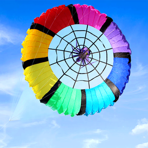 الصين مخصص الساخن بيع رخيصة خط مزدوج الرياضة سهلة تحلق كبير قابل للنفخ بكرة طائرة ورقية للكبار - Product Image 5