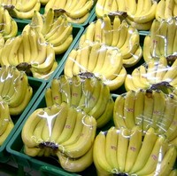 Film alimentaire en PVC de qualité alimentaire pour le stockage des aliments
