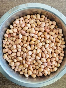 Semillas de Cacahuete 100% Naturales G20, Calidad de Exportación, Suministro a Granel para Productos Agrícolas, Precio de Mayoreo Más Vendido - Product Image 3