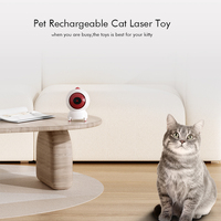 USB rechargeable grande capacité application mobile contrôle chat pointeur laser jouets chat laser jouet