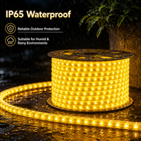 Bande lumineuse LED anti-moustiques alimentée par USB pour jardin extérieur, étanche IP65, jaune, 60 LED/m