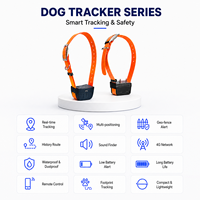 Traceur GPS 4G LTE Beidou 2G GSM OEM ODM pour collier, étanche IP67, localisation en temps réel LBS, application Android, dispositif de localisation PC pour la chasse