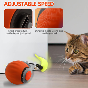 Nouvelle balle de jeu pour chien et chat avec clochette, balle roulante élastique en silicone, jouet intelligent interactif pour animaux de compagnie, jouet sportif pour chien et chat - Product Image 2