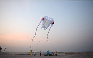 <span class=keywords><strong>Cerf</strong></span>-<span class=keywords><strong>volant</strong></span> en nylon souple 3D Trilobite LED Performance de plage par <span class=keywords><strong>cerf</strong></span>-<span class=keywords><strong>volant</strong></span> gonflable géant - Product Image 5