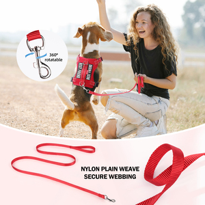 Nuevo arnés táctico solo para perros pequeños, ligero, cómodo, a prueba de Escape, chaleco estilo H, conjunto de arnés reflectante para perros - Product Image 6