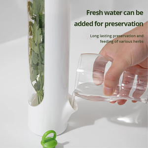 Boîte de conservation fraîcheur pour légumes et vanille, anti-poussière, anti-pression, écologique, pour la vente en gros transfrontalière - Product Image 2