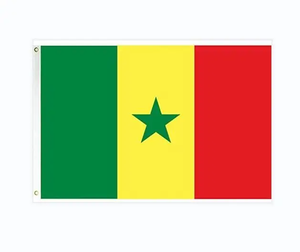 Drapeaux du Sénégal personnalisés 3x5 pieds logo imprimé vert jaune rouge étoile drapeau échange main agitant <span class=keywords><strong>voiture</strong></span> drapeau des pays du Sénégal - Product Image 2